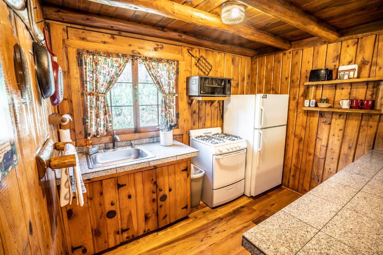 Colorado Bear Creek Cabins Evergreen Ngoại thất bức ảnh