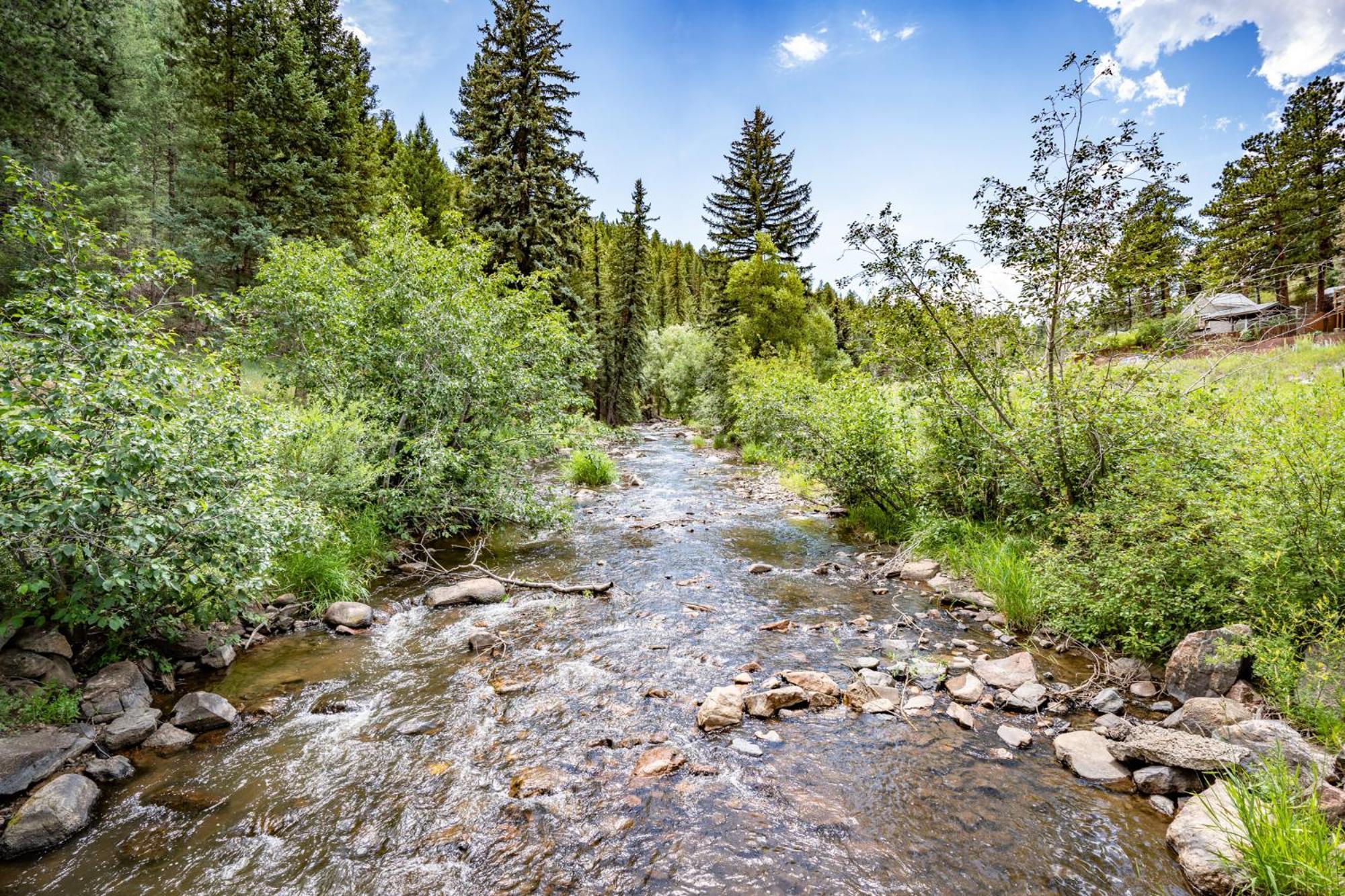 Colorado Bear Creek Cabins Evergreen Phòng bức ảnh